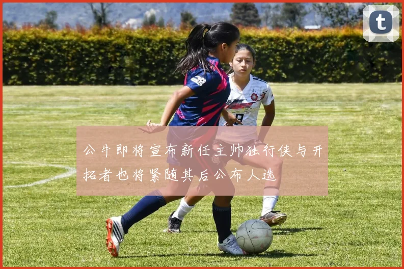 公牛即将宣布新任主帅独行侠与开拓者也将紧随其后公布人选