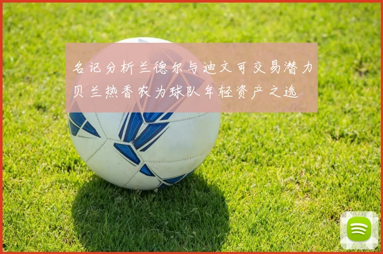 名记分析兰德尔与迪文可交易潜力贝兰热香农为球队年轻资产之选